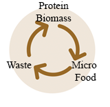 circular_production