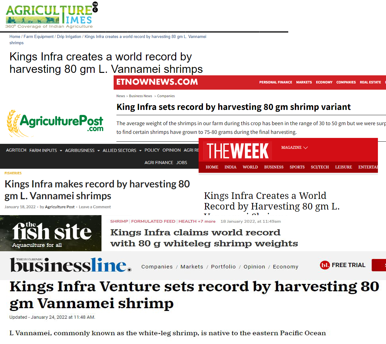 news_articile